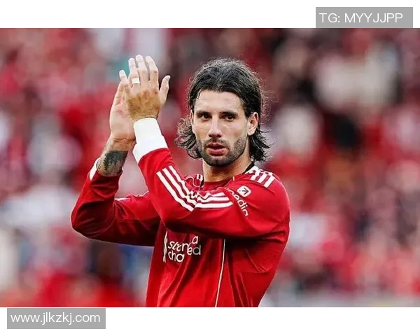 索博斯洛伊的魅力探秘与历史文化价值的深度剖析