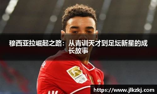星空综合官网